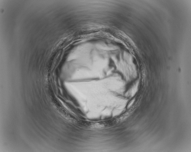 X0000078250257200611251311