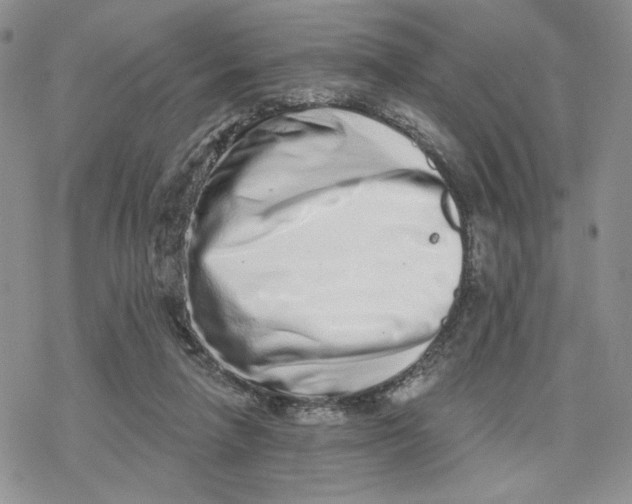 X0000078250258200611251311