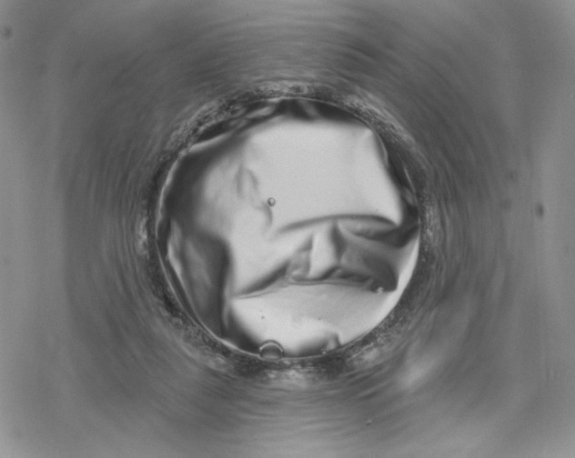 X0000078250259200611251311