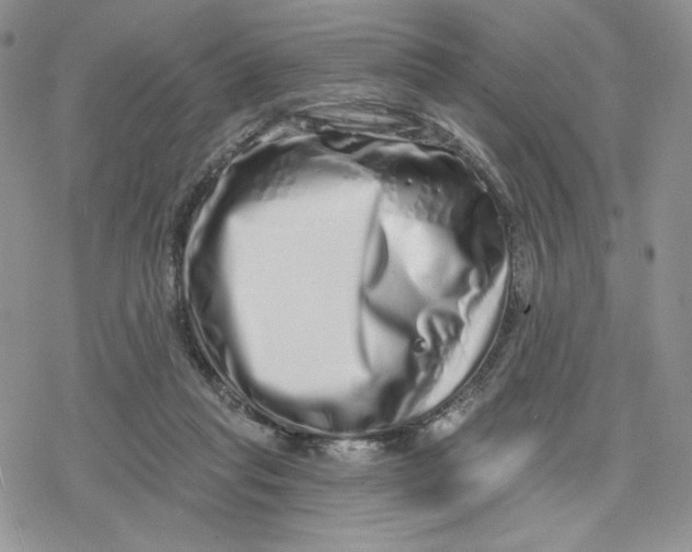 X0000078250261200611251311