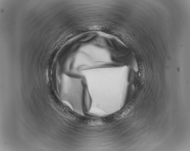 X0000078250262200611251311