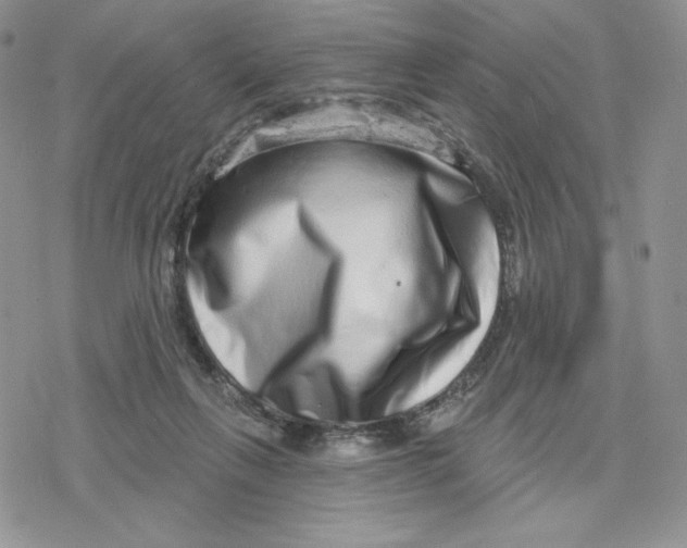 X0000078250263200611251311