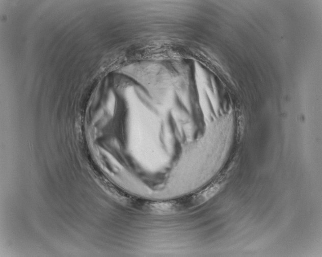 X0000078250265200611251311