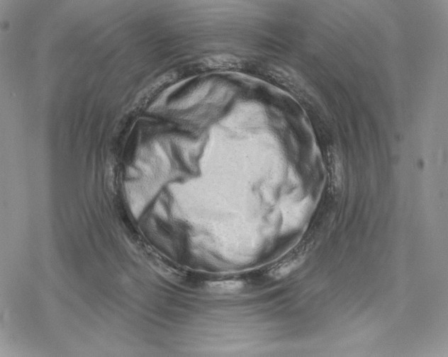 X0000078250266200611251311