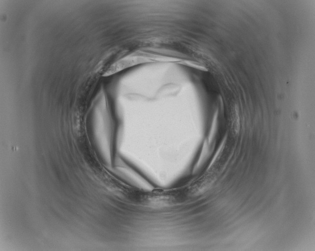 X0000078250268200611251311