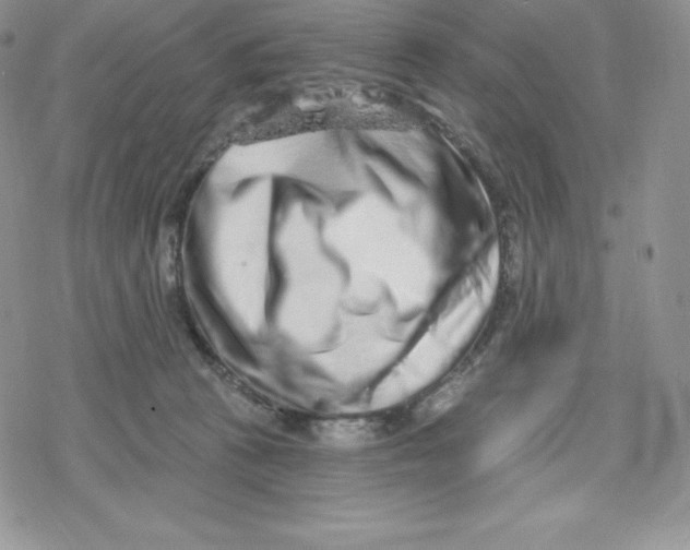 X0000078250273200611251311