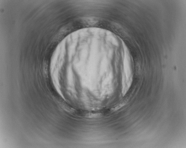 X0000078250274200611251311