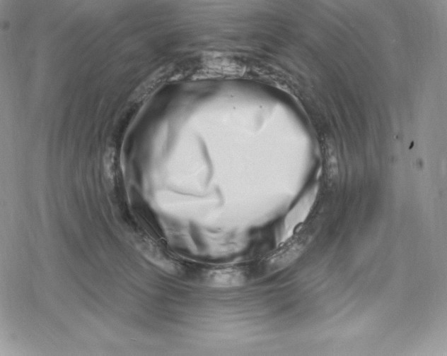 X0000078250275200611251311