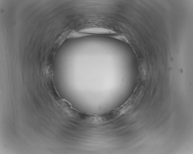 X0000078250276200611251311