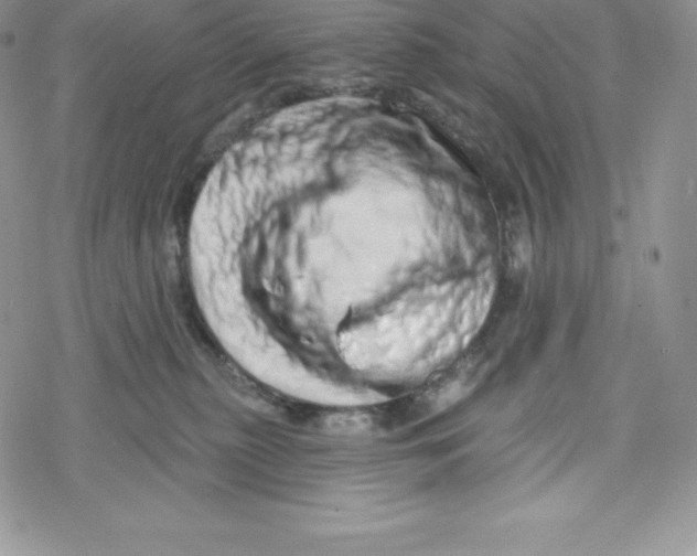 X0000078250279200611251311