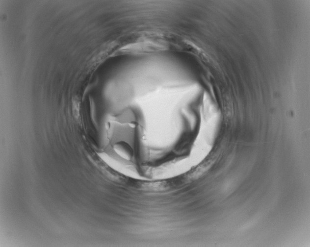 X0000078250281200611251311