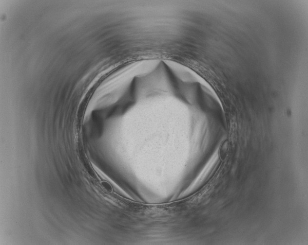 X0000078250290200611251310