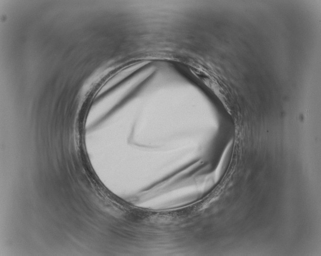 X0000078250294200611251310