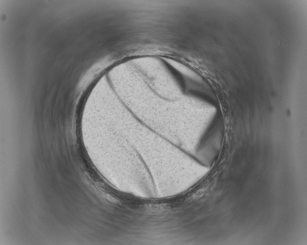 X0000078250296200611251310