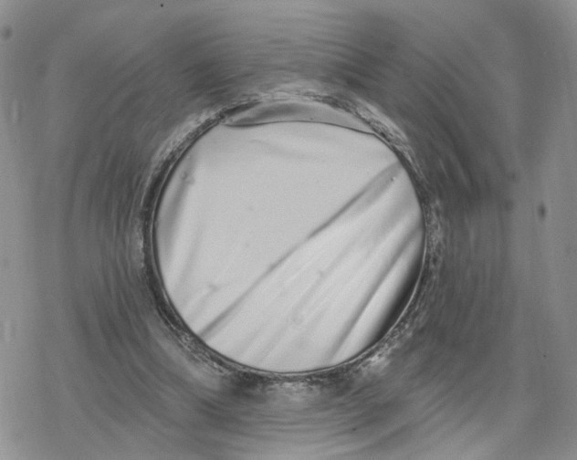 X0000078250298200611251310