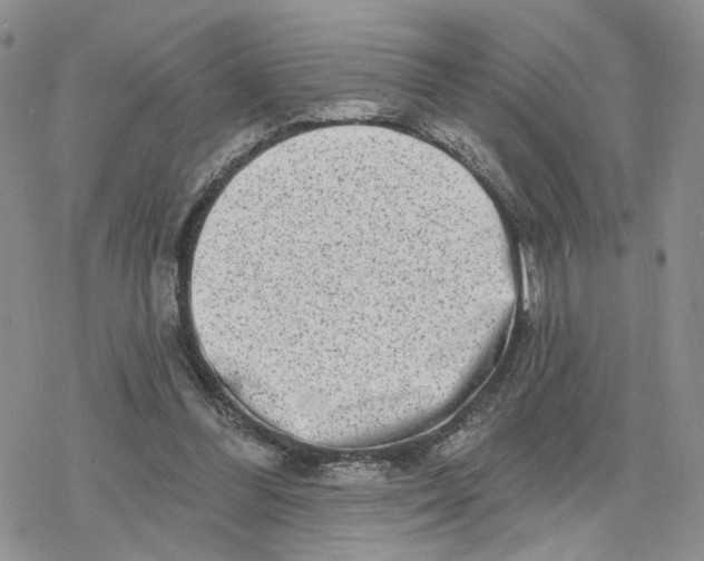 X0000078250300200611251310
