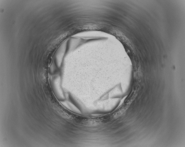 X0000078250305200611251310