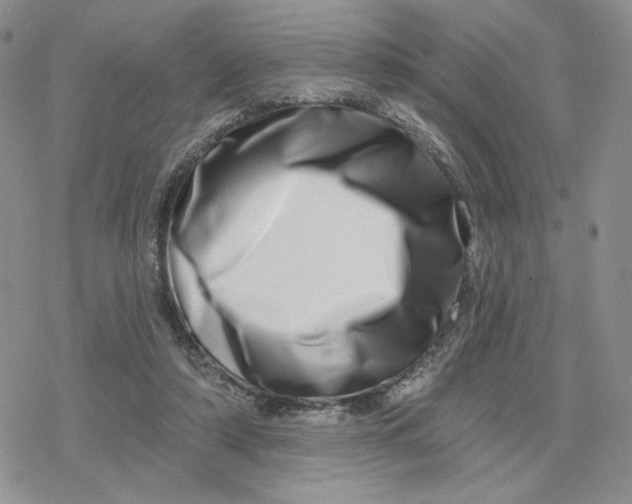 X0000078250306200611251310