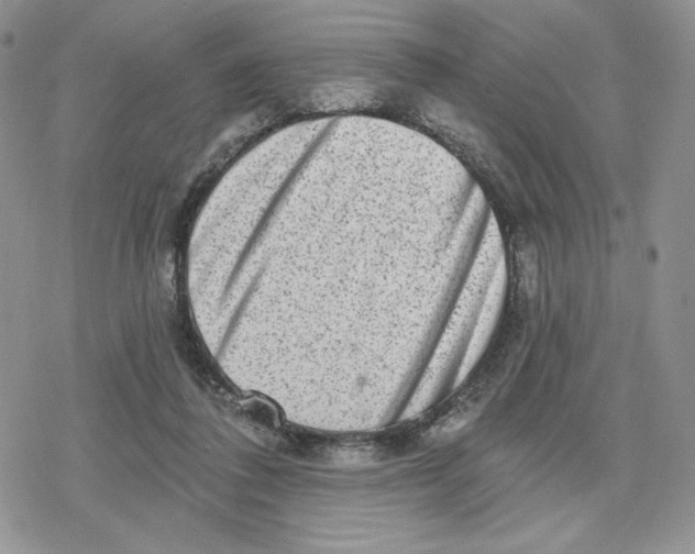 X0000078250308200611251310