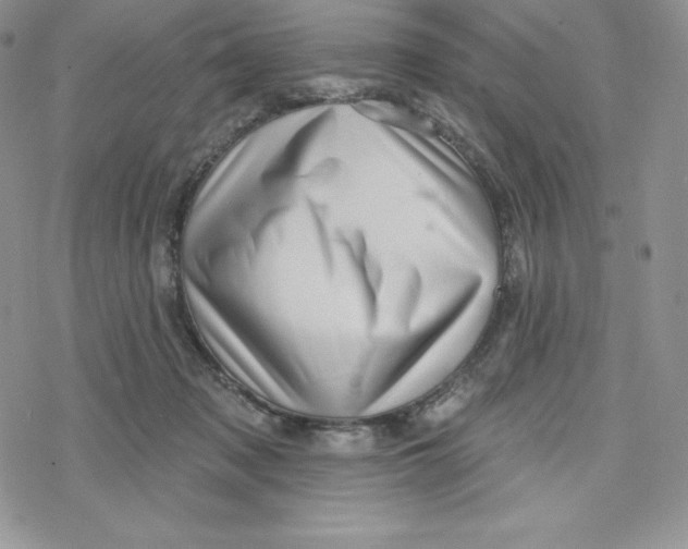 X0000078250317200611251310