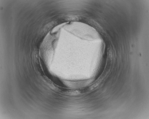X0000078250322200611251310
