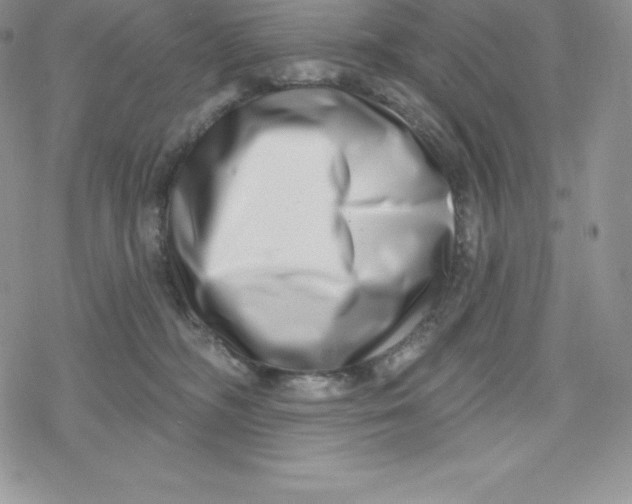X0000078250326200611251310