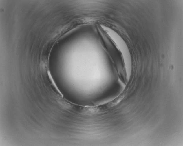 X0000078250329200611251310
