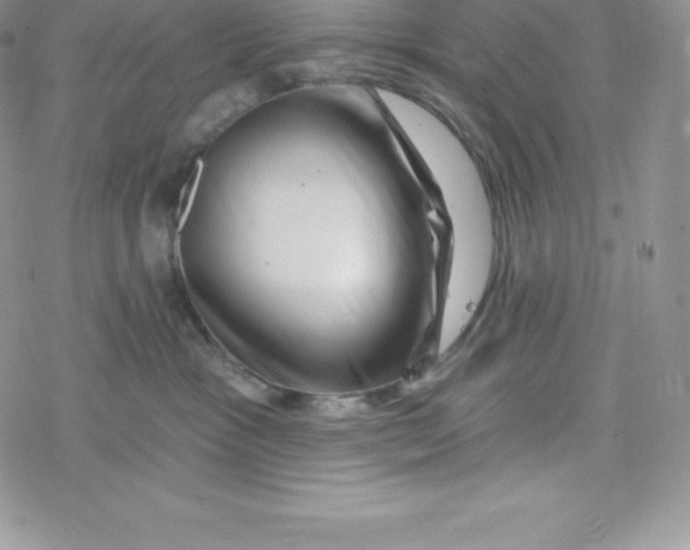 X0000078250333200611251310