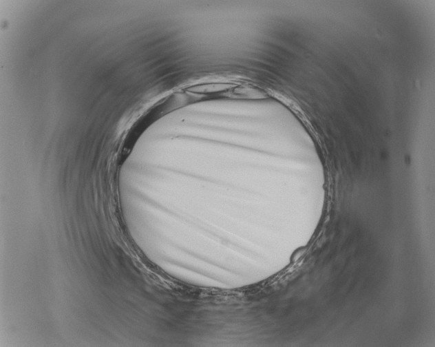 X0000078250337200611251309
