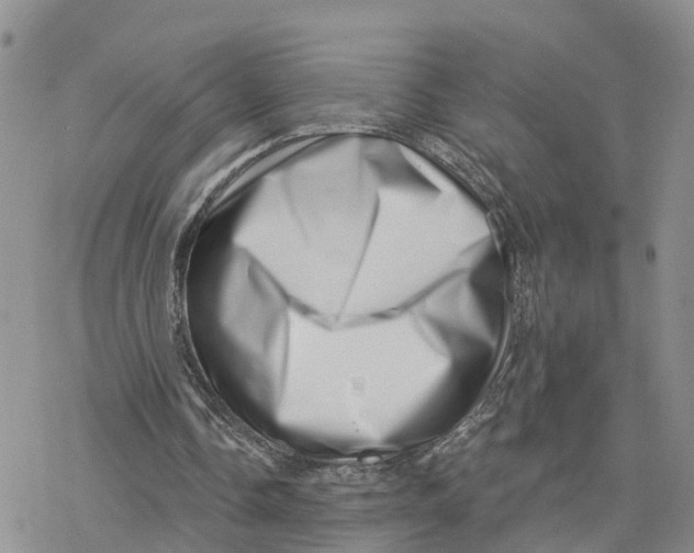 X0000078250338200611251309