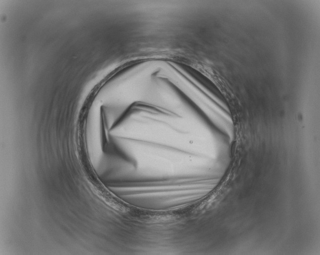 X0000078250342200611251309