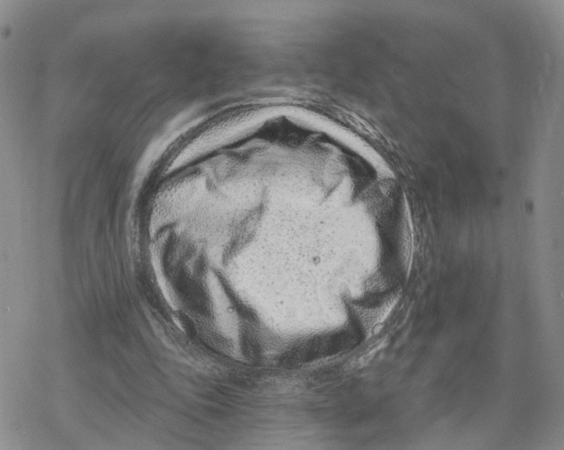 X0000078250343200611251309