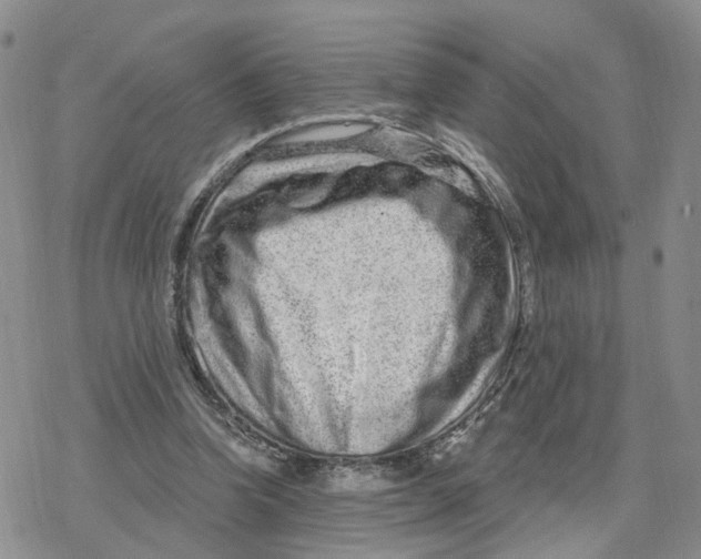 X0000078250346200611251309