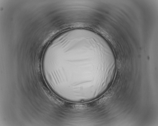 X0000078250347200611251309