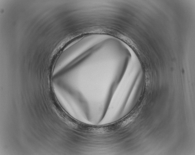 X0000078250349200611251309