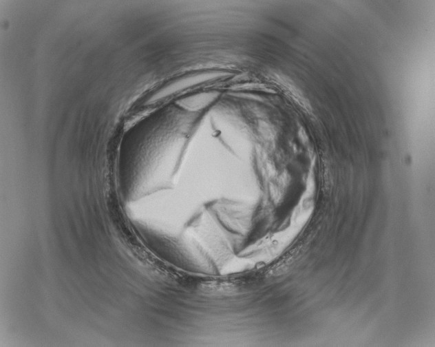 X0000078250354200611251309