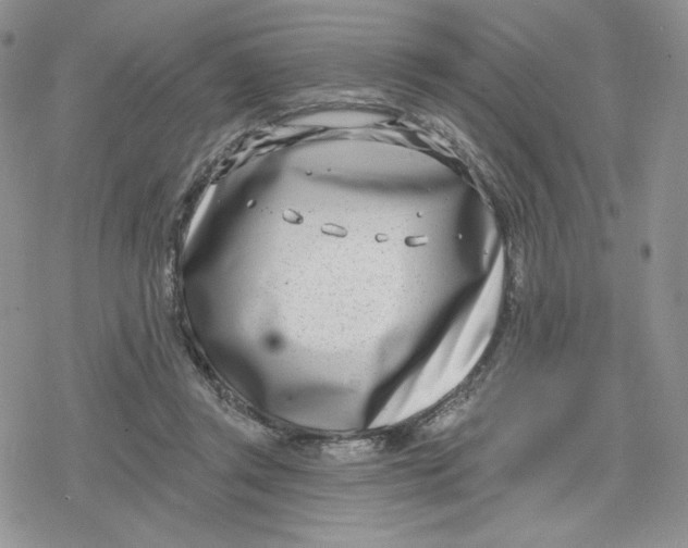 X0000078250357200611251309