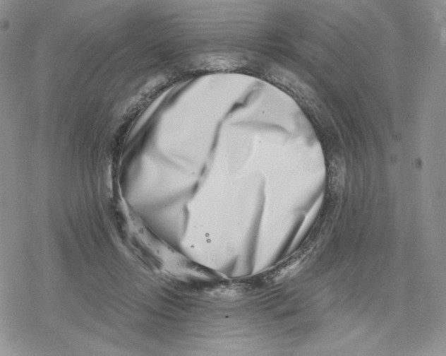 X0000078250358200611251309