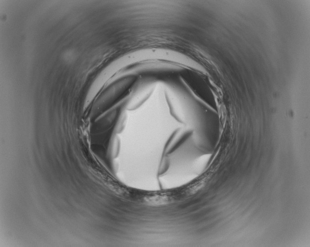 X0000078250362200611251309