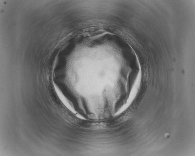 X0000078250363200611251309