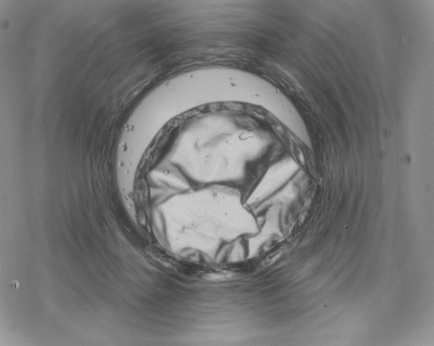 X0000078250364200611251309