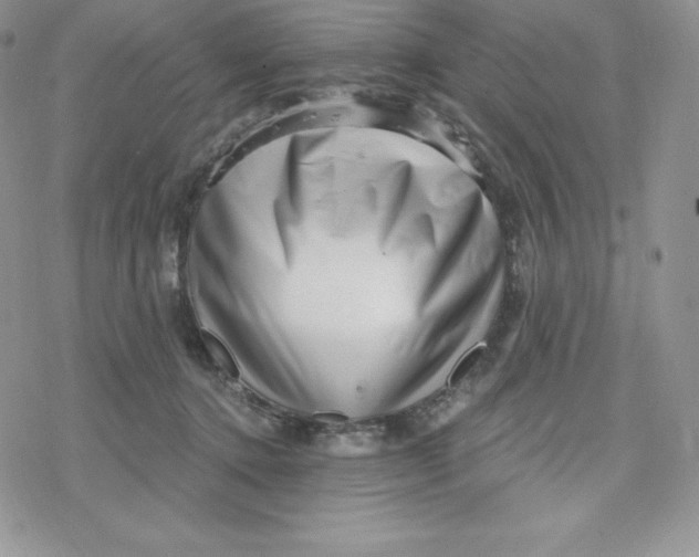 X0000078250368200611251309
