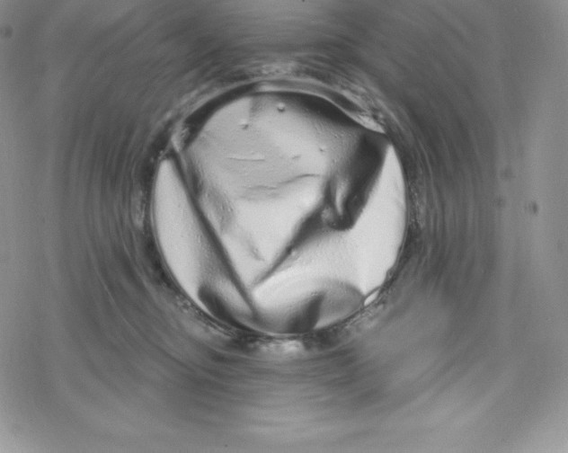 X0000078250374200611251309