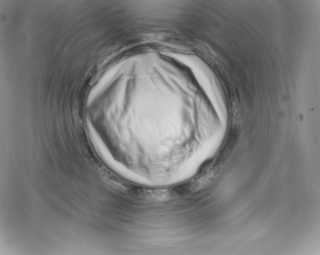 X0000078250377200611251310