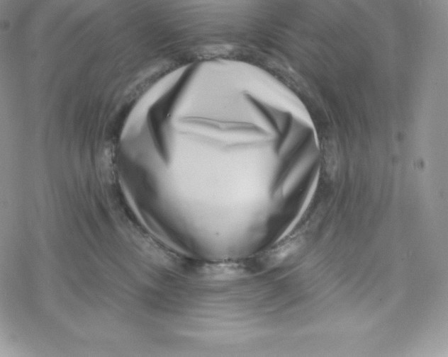 X0000078250378200611251310