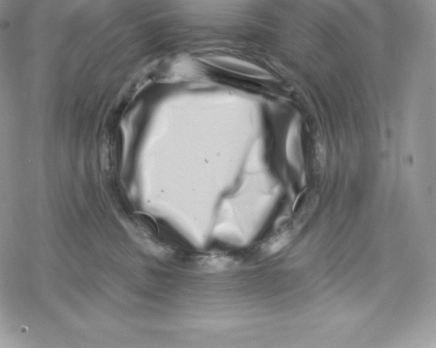 X0000078250379200611251310