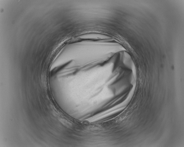 X0000078250386200611251309