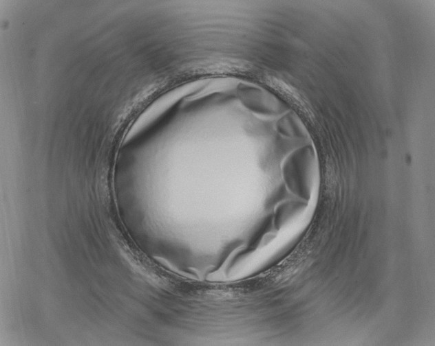 X0000078250394200611251309