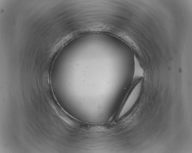 X0000078250397200611251309