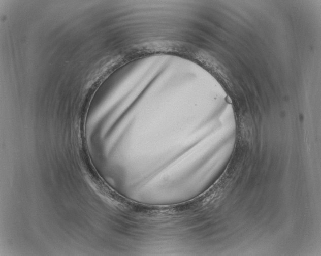 X0000078250398200611251309